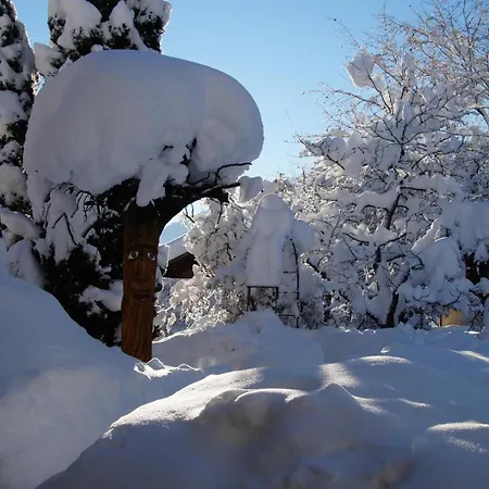 Apartmán Amann Vandans