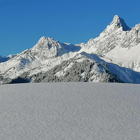 Apartmán Amann Vandans