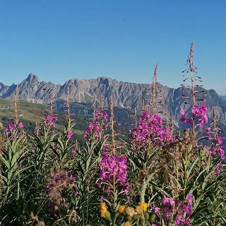 Amann Apartmán Vandans